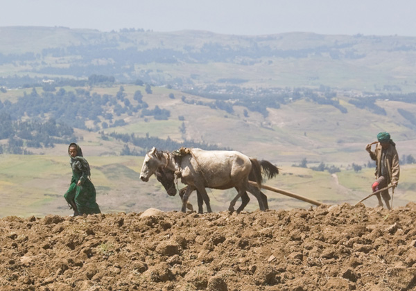 TDS Voyage - Simien Ethiopie