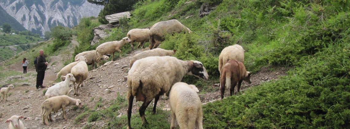 Tourisme équitable et solidaire en Albanie avec TDS VOYAGE