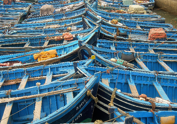 TDS Voyage - Tourisme équitable et solidaire - Maroc - Tifnit - Barques bleues