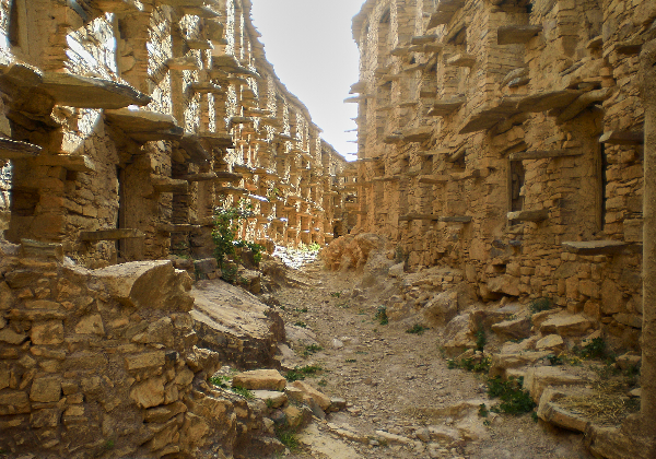 TDS Voyage - Tourisme équitable et solidaire - Maroc - Talkerdoust - Agadir