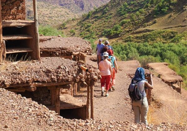 Voyageurs au rucher d'Inzerki au Maroc