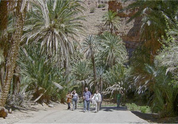 TDS Voyage - Tourisme équitable et solidaire - Maroc - Oasis