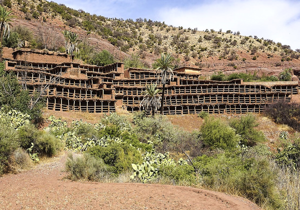TDS Voyage - Tourisme équitable et solidaire - Maroc - Inzerki - Rucher