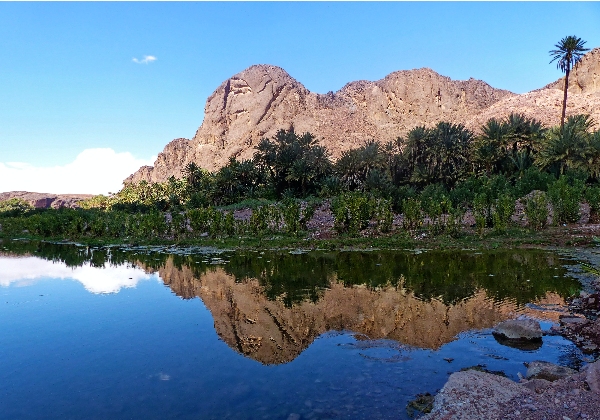 TDS Voyage - Tourisme équitable et solidaire - Maroc - Oasis
