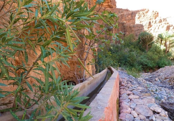 TDS Voyage - Tourisme équitable et solidaire - Maroc - Gorges d'Aït Mansour - Irrigation