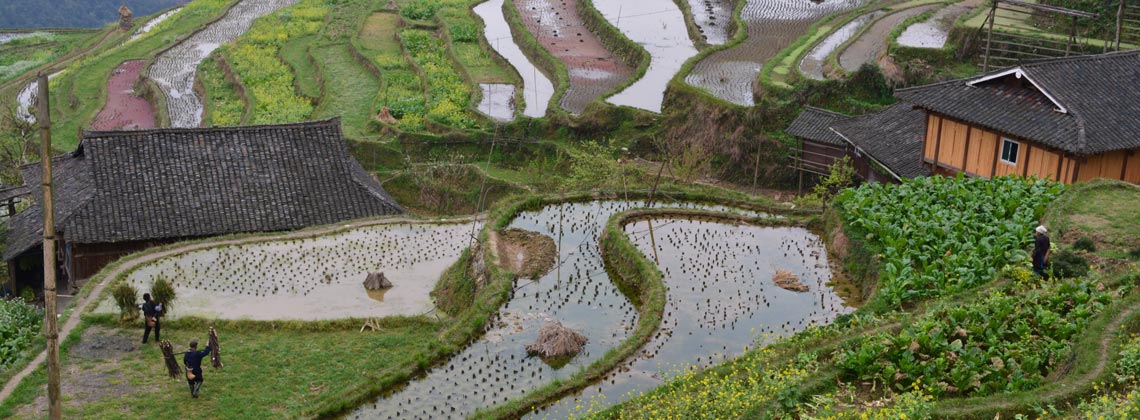 TDS VOYAGE - Tourisme équitable et solidaire Riziere en Chine