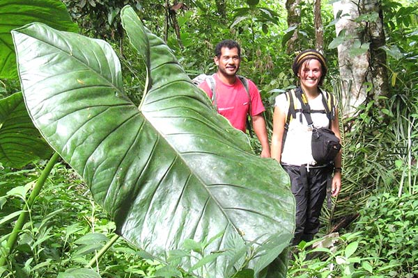 Forêt amazonienne - Voyage équitable et solidaire en Équateur 