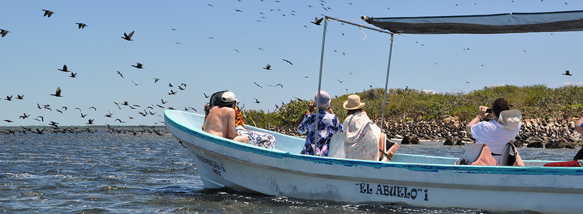 Sortie en bateau au large du Mexique - Voyage solidaire Mexique