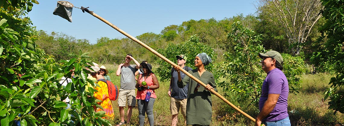 Visite d'une pépinière de cocotiers à San Crisanto - Voyage solidaire Mexique