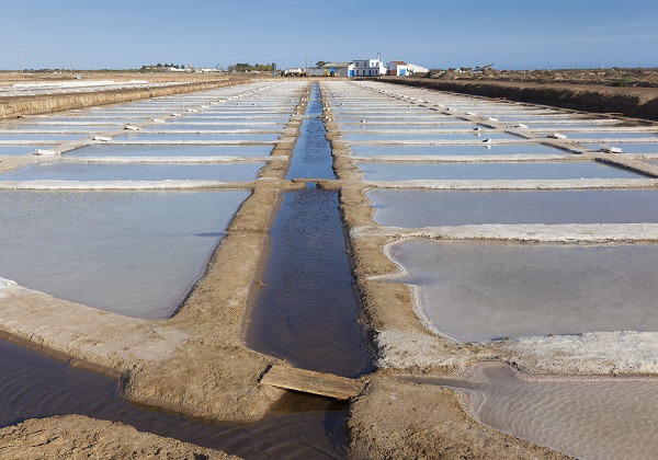 TDS Voyage - Tourisme équitable et solidaire - Portugal - Castro Marim - Marais salants