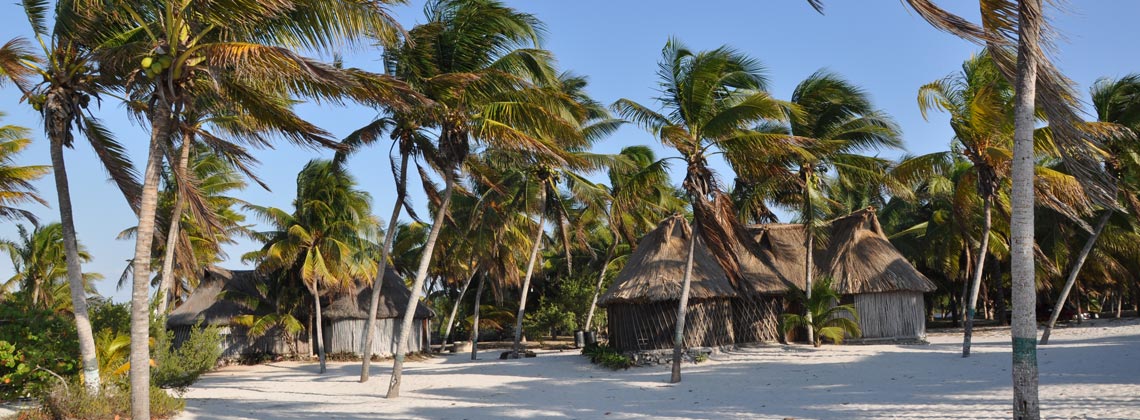 Plage à San Crisanto - Voyage solidaire Mexique