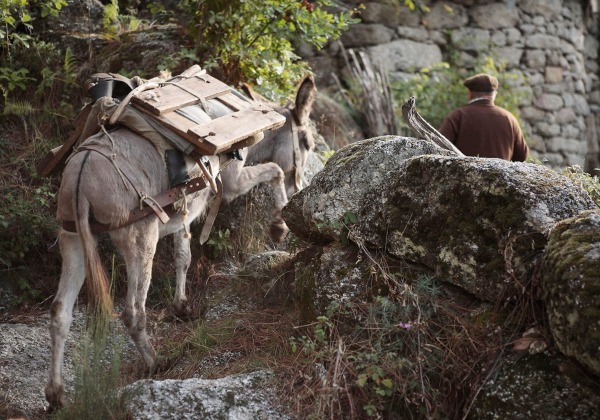 TDS Voyage - Tourisme équitable et solidaire - Portugal - Linhares