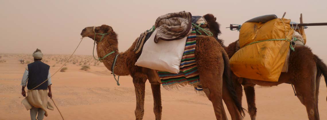 TDS VOYAGE Solidaire - Tunisie Chenini