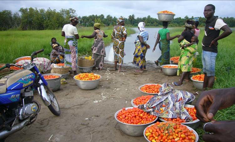 TDS Voyage - Tourisme solidaire au Bénin