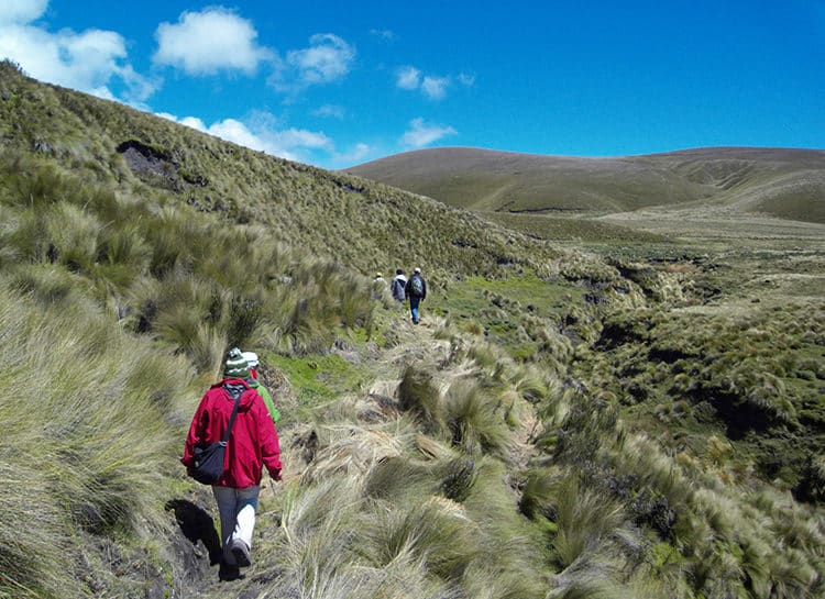 Marche dans les Andes Équatoriennes