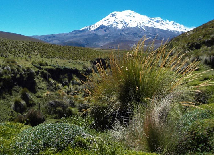 Volcan Chimborazo Équateur