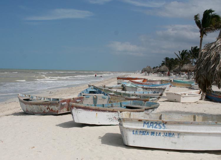 TDS Voyage solidaire au Mexique Yucutan