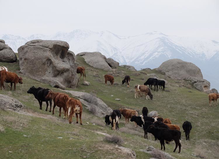 TDS Voyage solidaire Ouzbekistan 