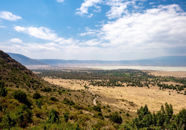 Safari Tanzanie - Cratère Ngorongoro - TDS Voyage