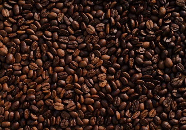 Tanzanie - Grains de café - TDS Voyage