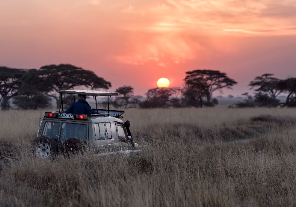 Safari Tanzanie - Véhicule tout terrain - TDS Voyage