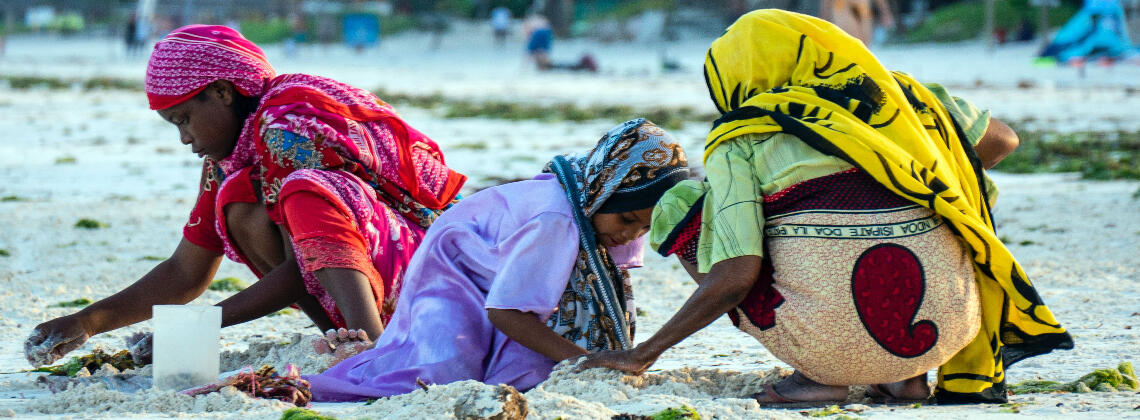 TDS VOYAGE - Tourisme équitable et solidaire en Tanzanie