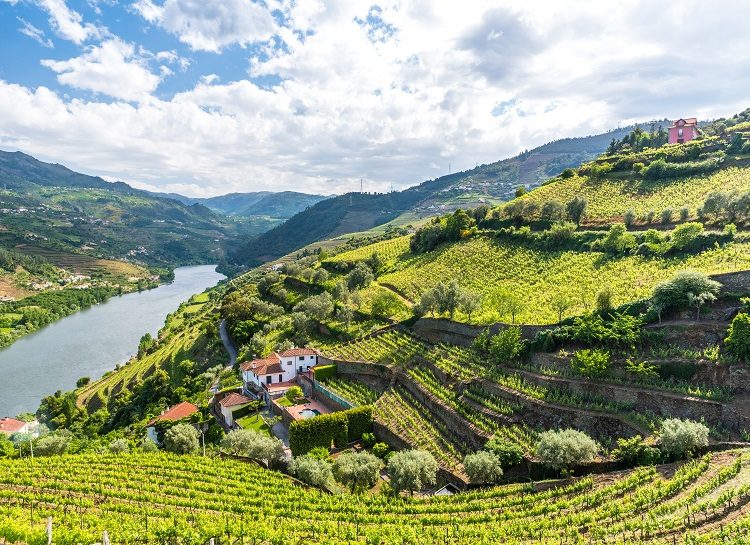 Vallée du Douro au Portugal