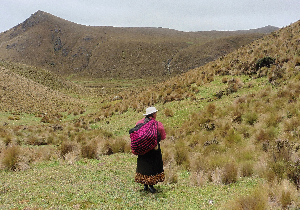 Femme quechua - paramos - TDS Voyage - Tourisme équitable et solidaire