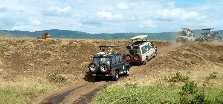 TDS Voyage - Tourisme équitable et solidaire - Tanzanie - Safari - Voitures