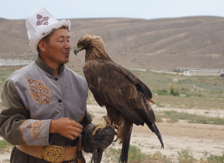Chasse à l'aigle au Kirghizistan