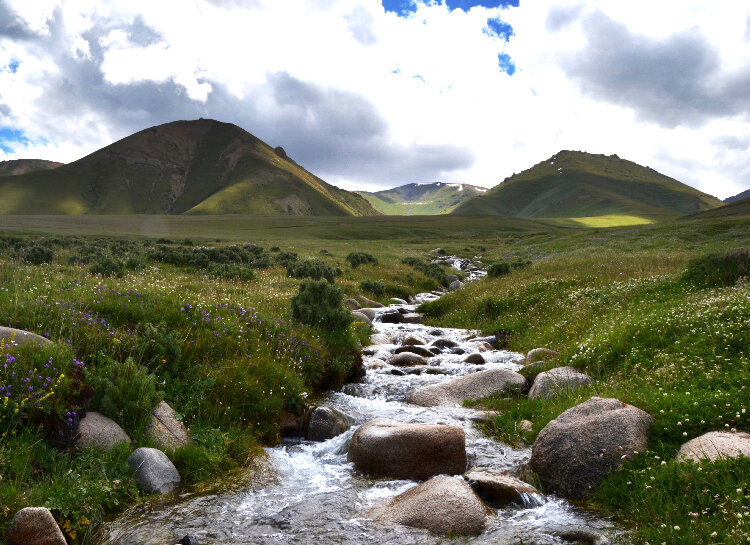 Prairies kirghizes et torrent