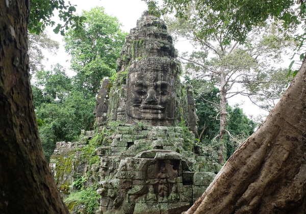 Temple d'Angkor Cambodge