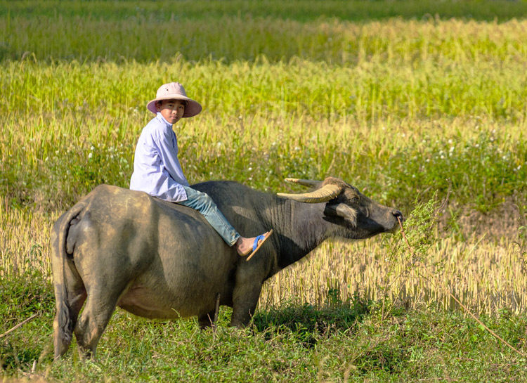 Voyage solidaire au Vietnam - Quotidien au village