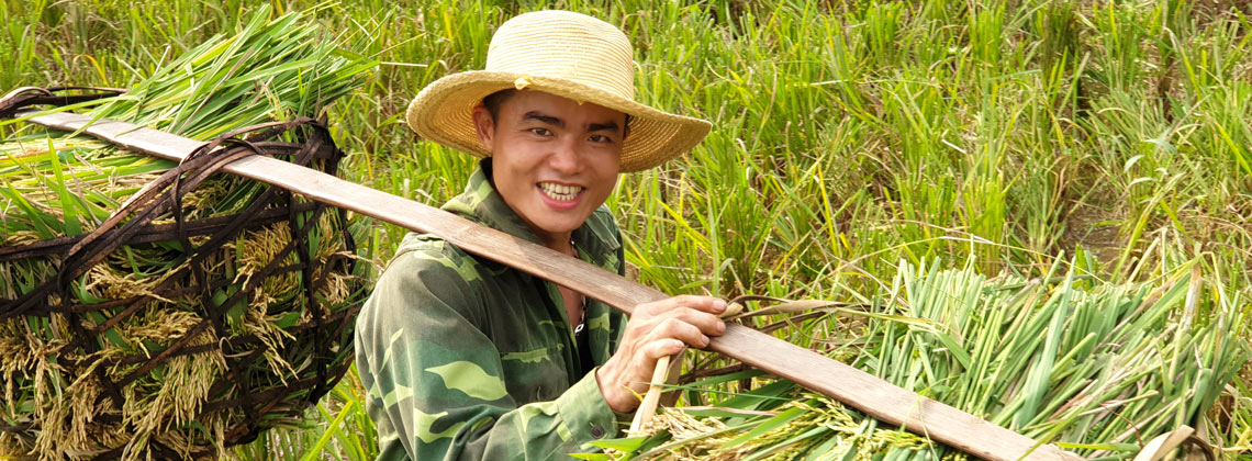 TDS VOYAGE - Vietnam - Riziculteur