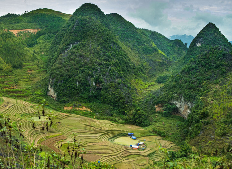 Voyage solidaire Vietnam - Rizières en terrasses