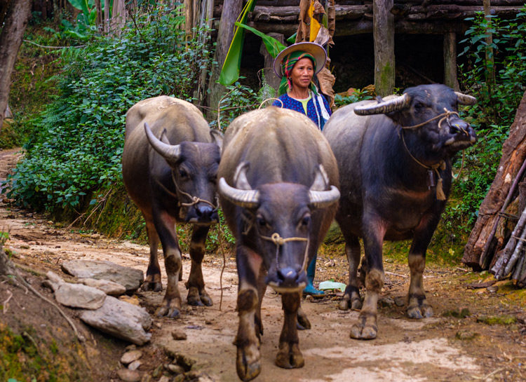 Voyage solidaire au Vietnam - Immersion village