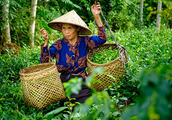 Femme vietnamienne