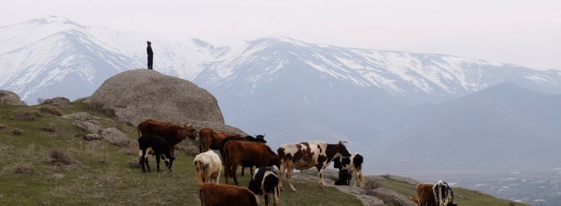 Découvrir la campagne ouzbèke