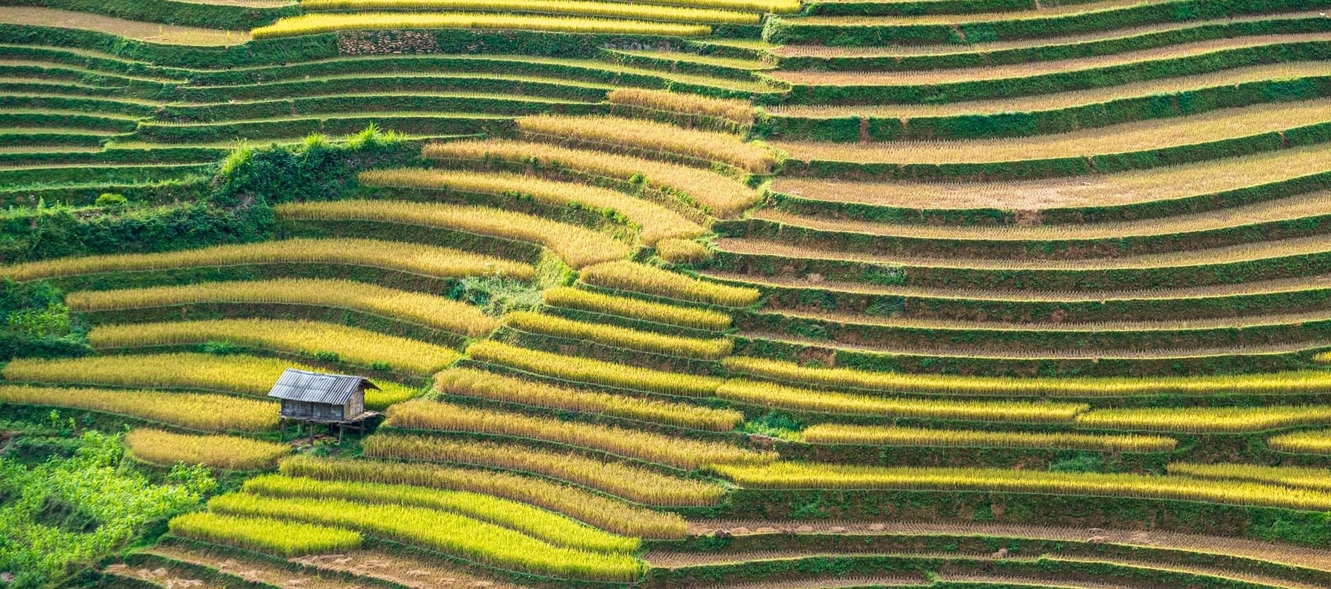 Séjour <br> équitable au Vietnam du Nord