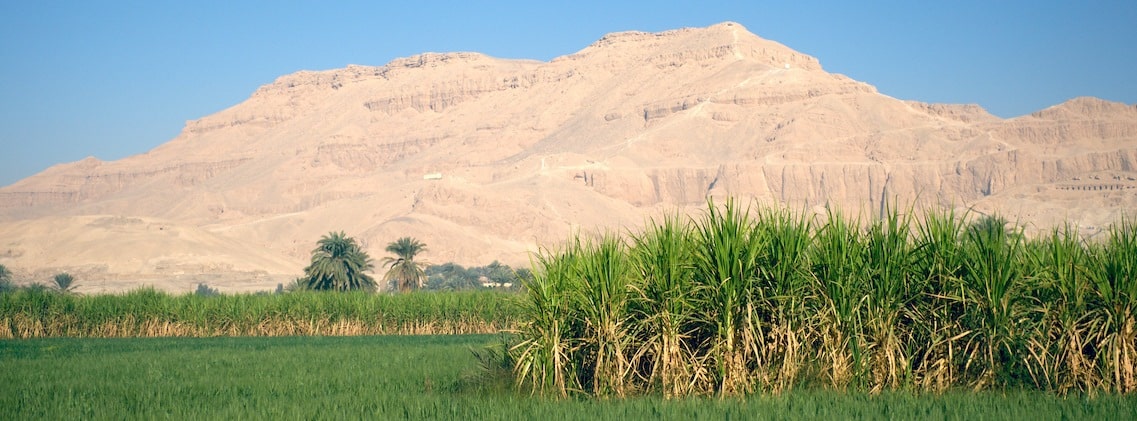 TDS VOYAGE - Égypte, Gurnah Canne à sucre Montagne