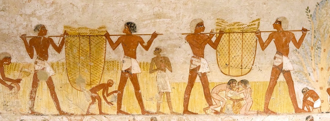 TDS VOYAGE - Égypte Tombes Nobles Moissons