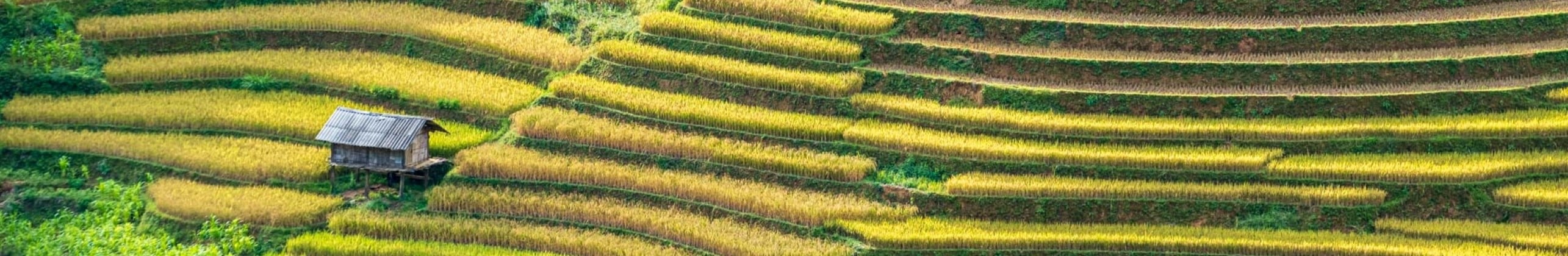 Tourisme équitable et solidaire en Asie avec TDS VOYAGE