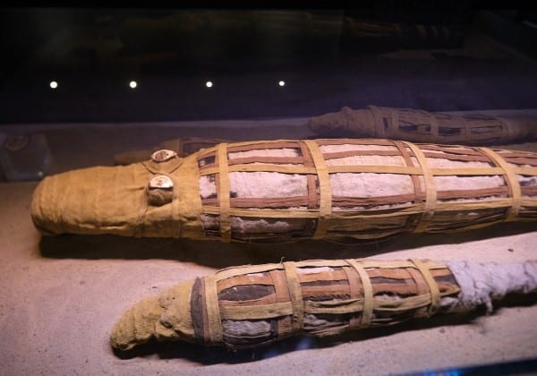 Crocodiles momifiés temple Sobek Kom Ombo, Egypte - TDS Voyage