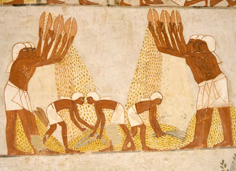 Les tombes de la vallée des Nobles de Thèbes-Ouest