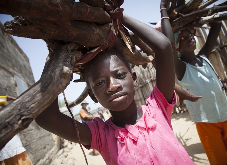 Dans un village du delta du Saloum, une jeune fille transporte du bois, un geste du quotidien encore courant dans les zones rurales, où la collecte de combustible fait partie des tâches familiales. Cette réalité rappelle aussi les enjeux liés à l’accès à l’énergie et à la préservation des ressources naturelles.