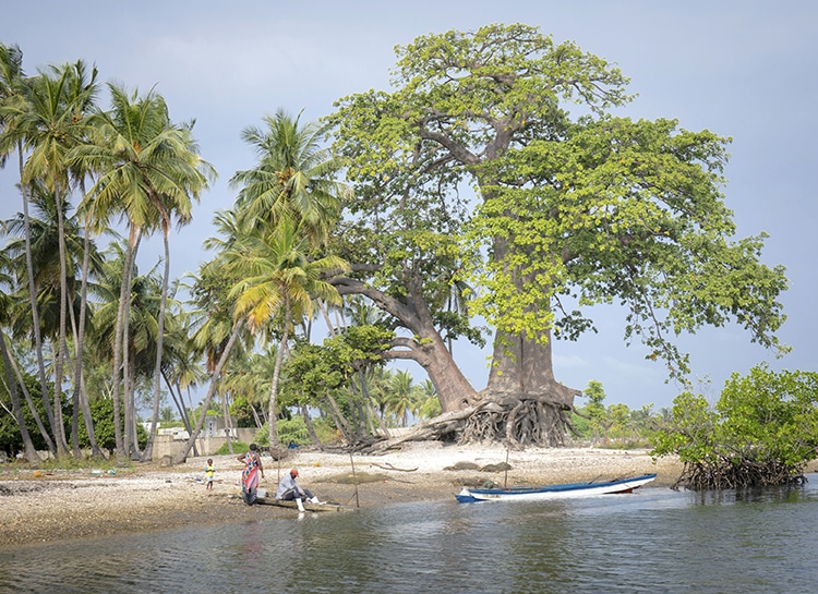 Dans le delta du Saloum, les habitants vivent au plus proche de