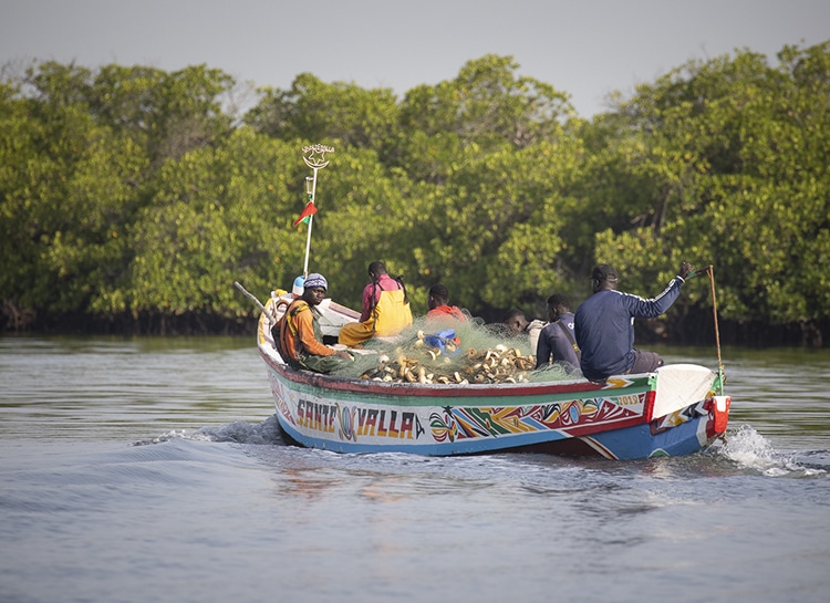 Au-delà de la pêche, dans le delta du Saloum, les déplacements s’effectuent traditionnellement en pirogue, au fil des bolong